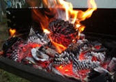 Barbecue feu !